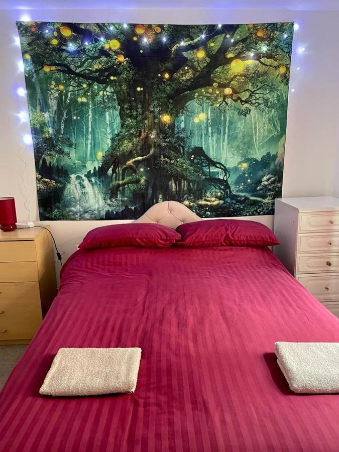 ブラックプール The Blue Moon Bed & Breakfast エクステリア 写真